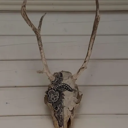 Helmipoelloe - Boreal Owl Apartmán *